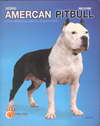 ԡѹԷ Amercan Pitbull Dog's Story (BK0902000127)