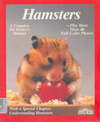 Hamsters (BK1008000348)